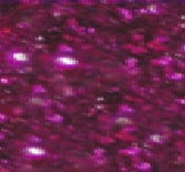 FXG08 Růžová Starflex Glitter plus 50cm